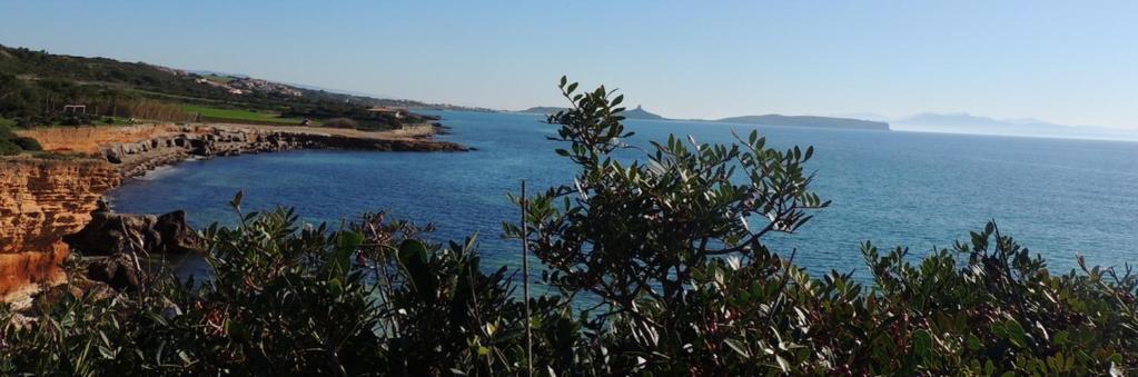 Arangioa - Senafer - Villa Funtana Meiga Luaran gambar