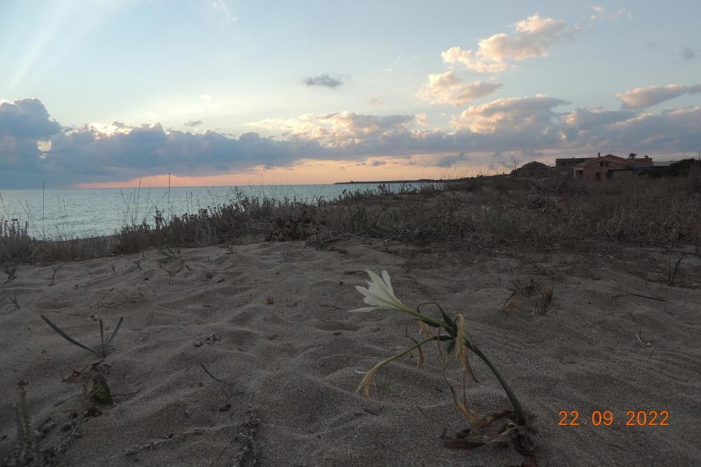 Arangioa - Senafer - Villa Funtana Meiga Luaran gambar
