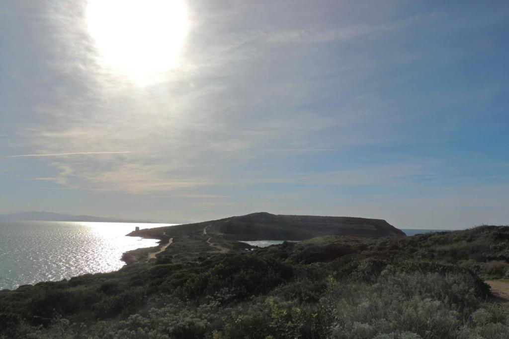 Arangioa - Senafer - Villa Funtana Meiga Luaran gambar