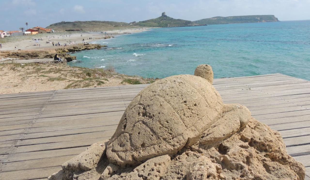 Arangioa - Senafer - Villa Funtana Meiga Luaran gambar